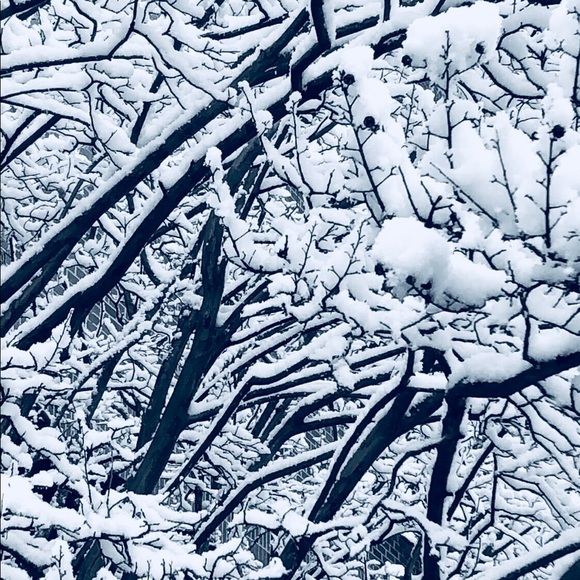 Meet your Posher, KRIS 🌿 - Picture 2 of 4